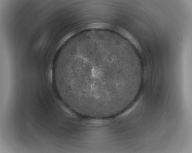 X0000113960829200910021524