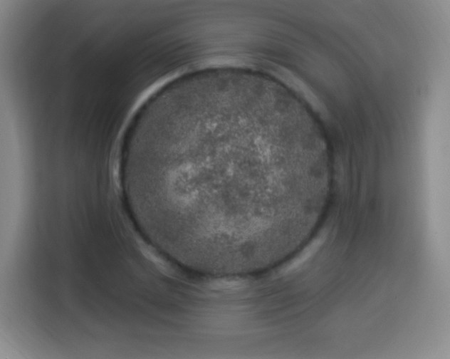 X0000113960830200910021524