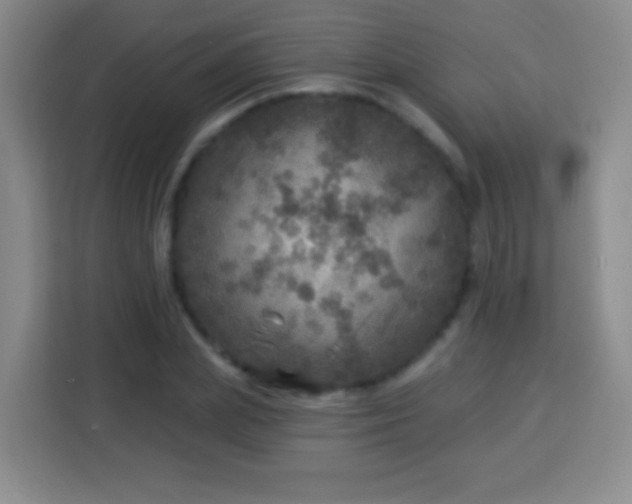 X0000113960831200910021524