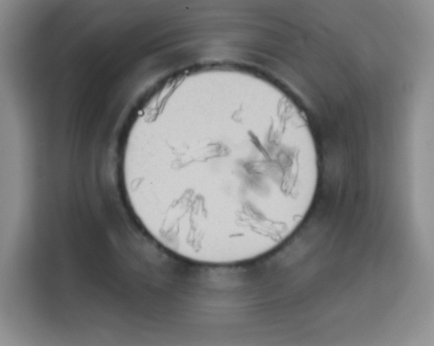 X0000113960832200910021524