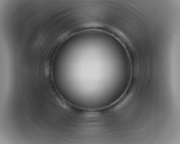 X0000113960833200910021524