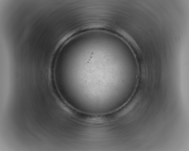 X0000113960834200910021524