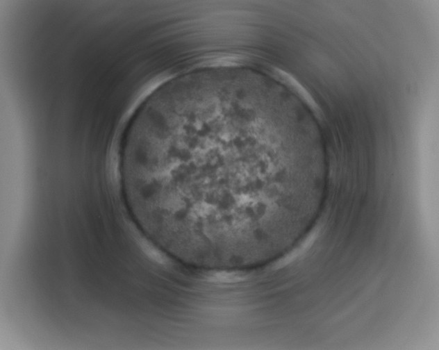 X0000113960835200910021524