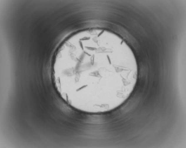 X0000113960836200910021524