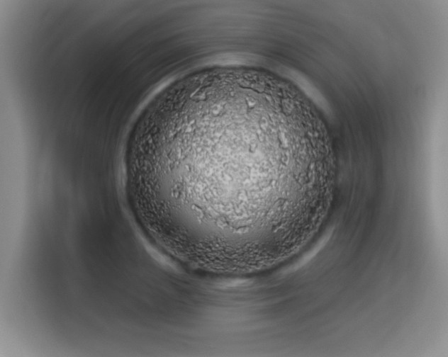 X0000113960837200910021524