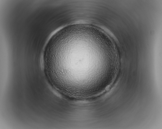 X0000113960838200910021524