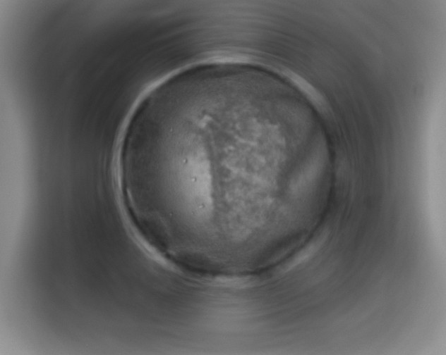 X0000113960840200910021524