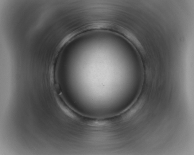 X0000113960842200910021524