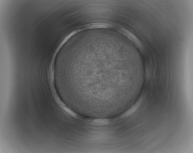 X0000113960844200910021524