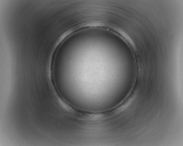 X0000113960845200910021524