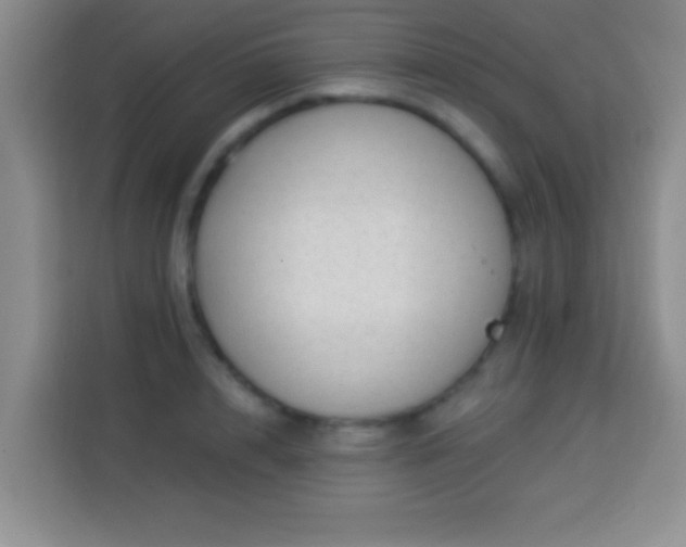 X0000113960848200910021524