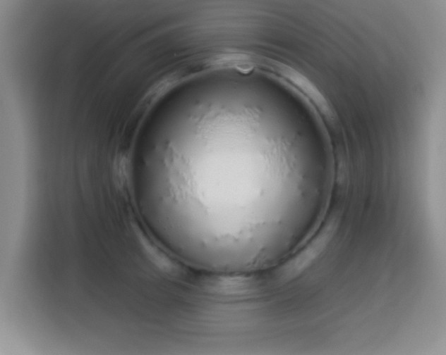 X0000113960849200910021524