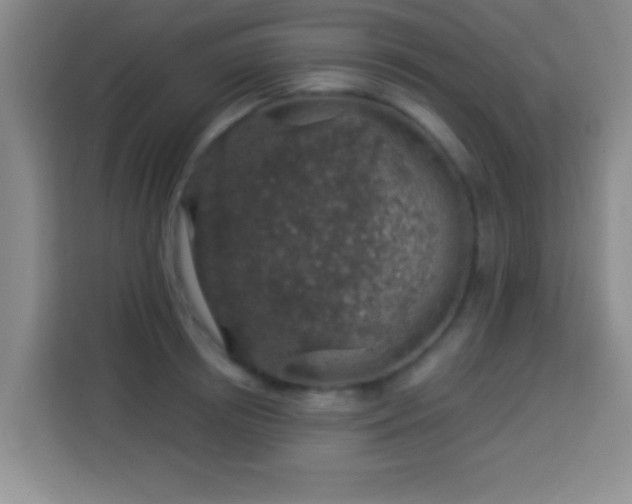 X0000113960850200910021524