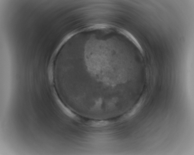 X0000113960851200910021524