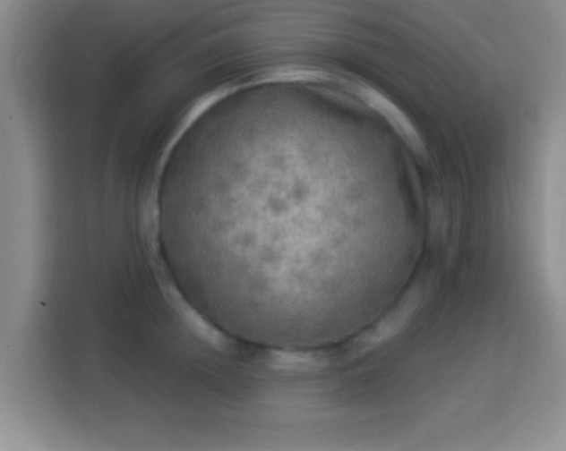 X0000113960852200910021524