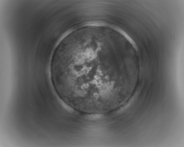 X0000113960853200910021524