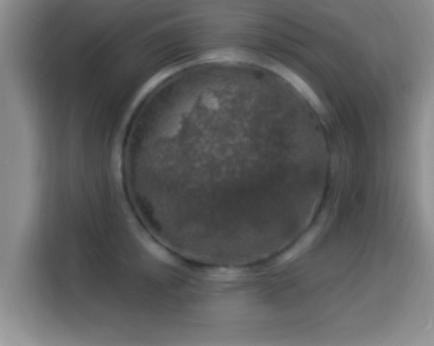 X0000113960854200910021524