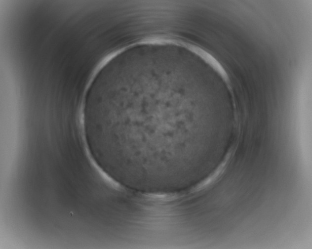 X0000113960855200910021524