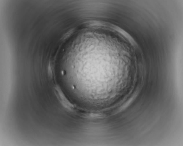 X0000113960857200910021524