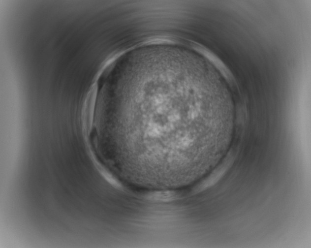 X0000113960858200910021524