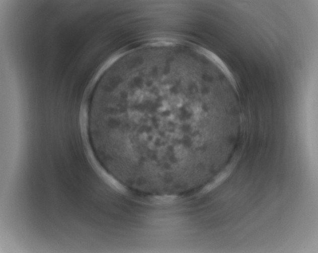 X0000113960859200910021524