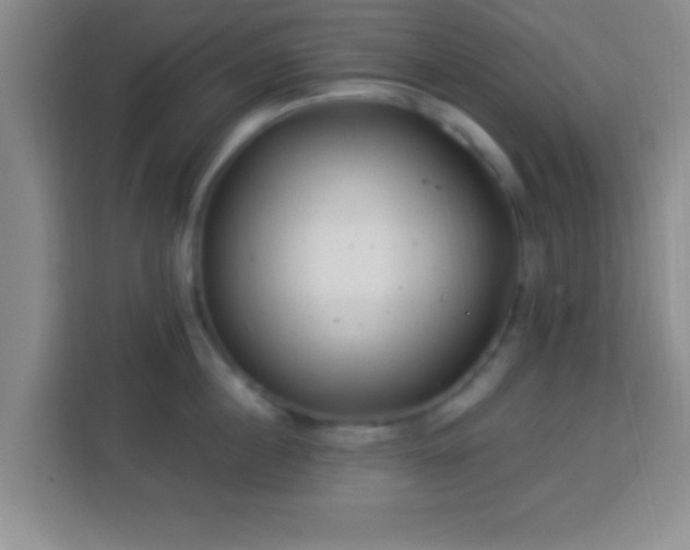 X0000113960860200910021524