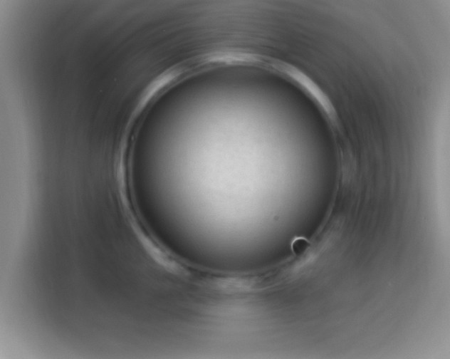 X0000113960861200910021524