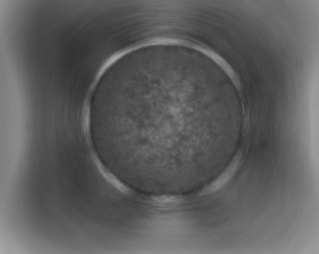 X0000113960862200910021524