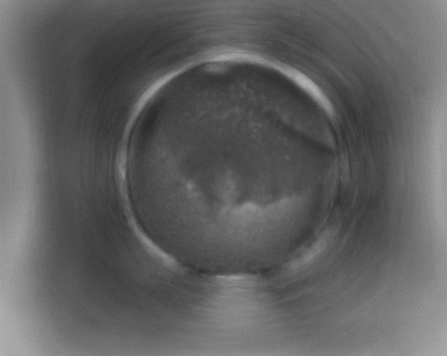 X0000113960863200910021524