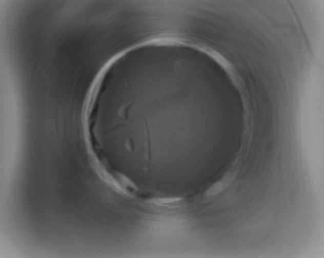 X0000113960864200910021524