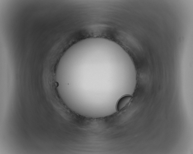 X0000113960865200910021524