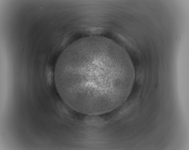 X0000113960866200910021524