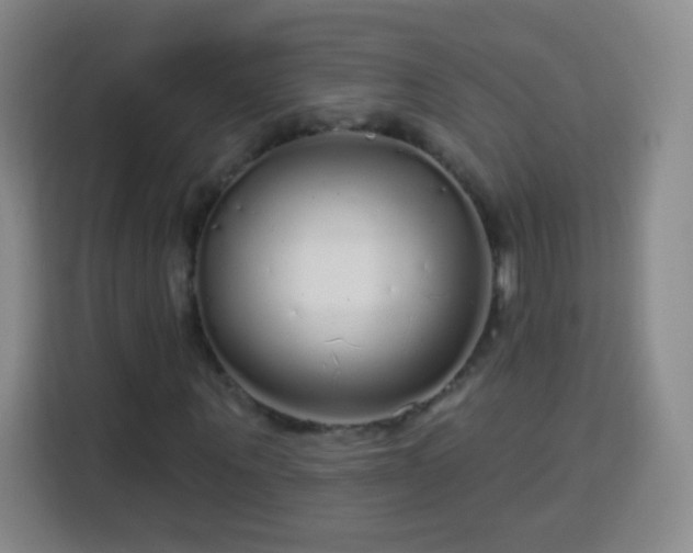 X0000113960867200910021524