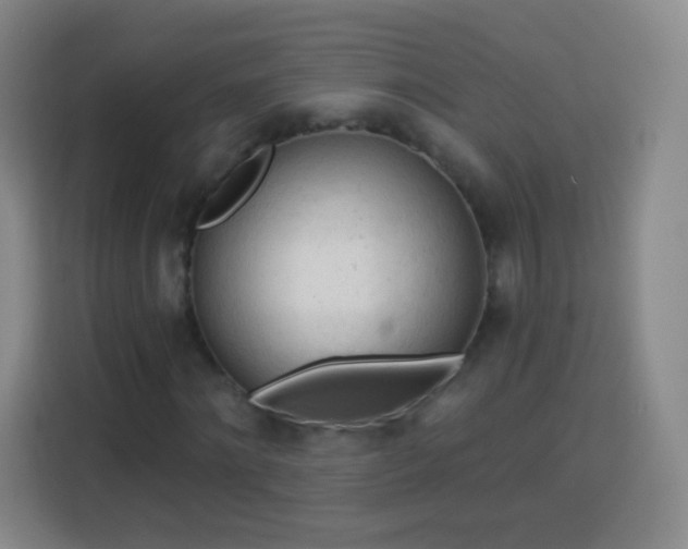 X0000113960868200910021524