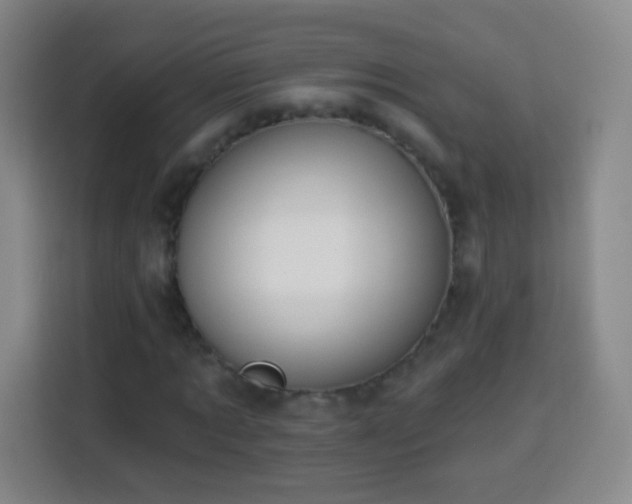 X0000113960869200910021524