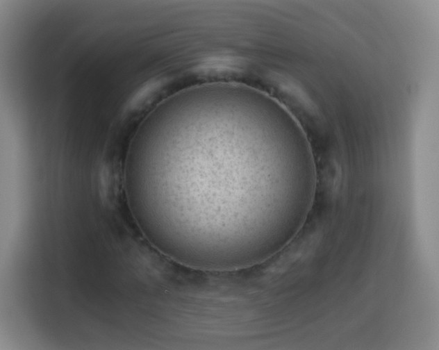 X0000113960870200910021524