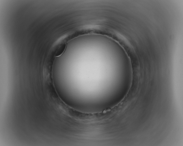 X0000113960872200910021524