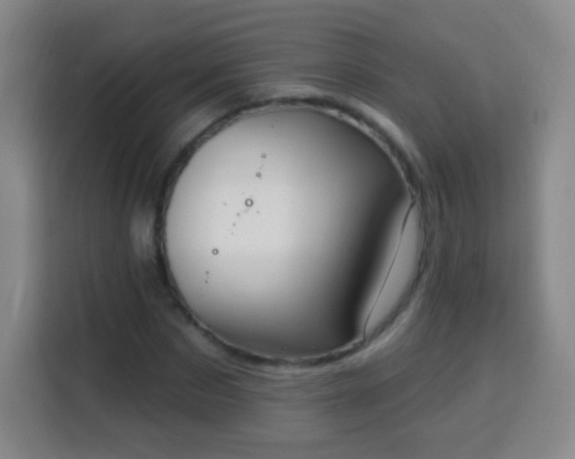 X0000113960873200910021524