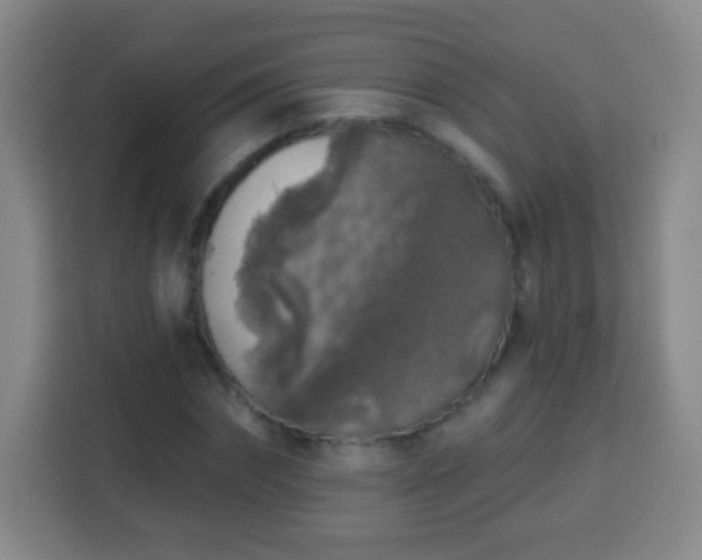 X0000113960874200910021524