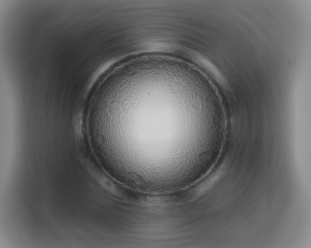 X0000113960875200910021524