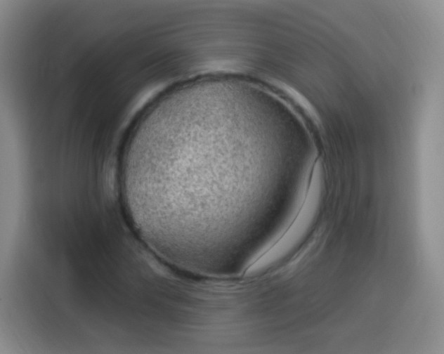 X0000113960878200910021523