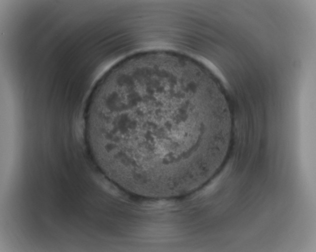 X0000113960879200910021523