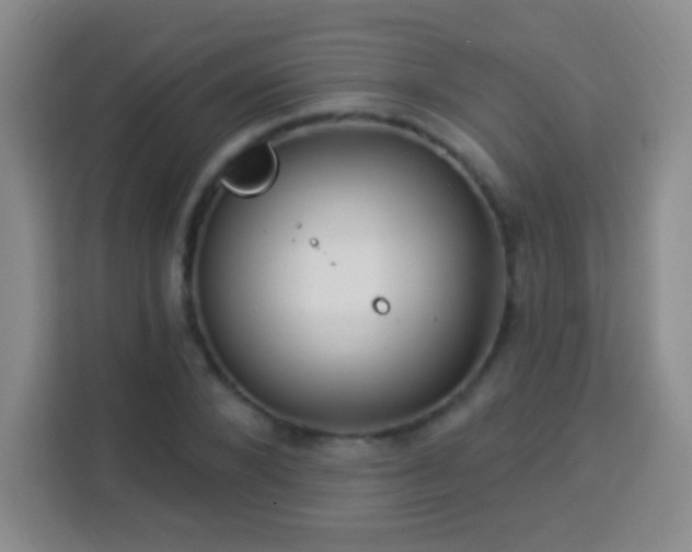 X0000113960880200910021523