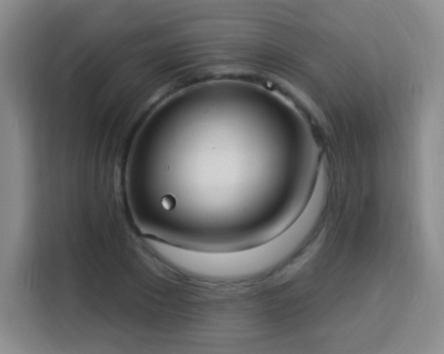 X0000113960881200910021523