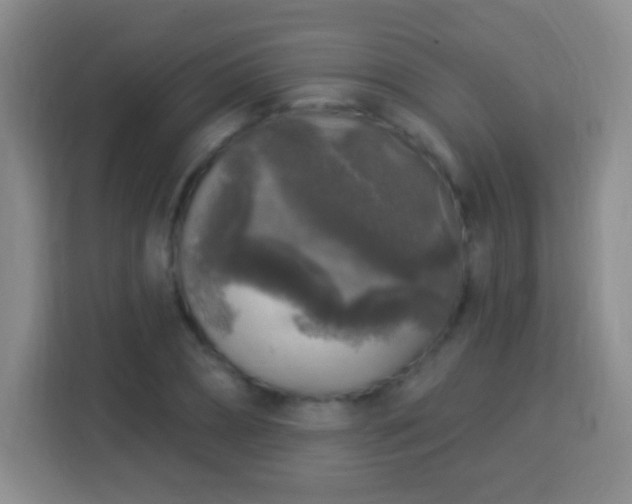 X0000113960882200910021523