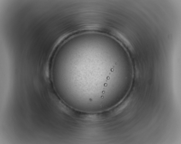 X0000113960883200910021523