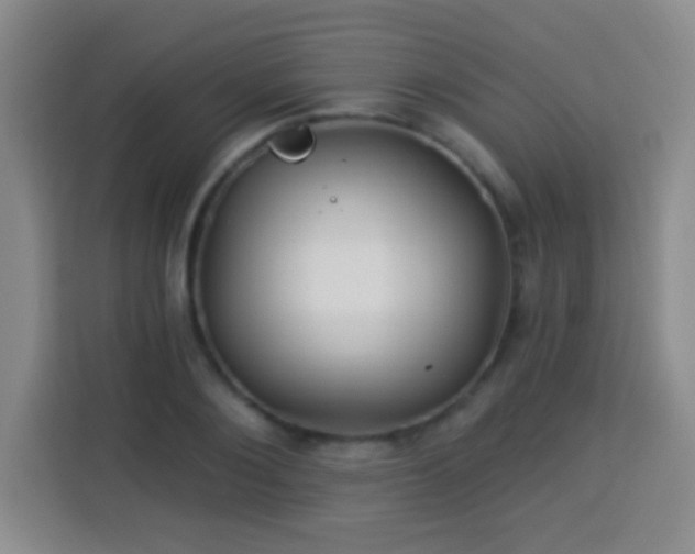 X0000113960884200910021523