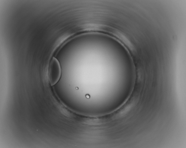 X0000113960885200910021523