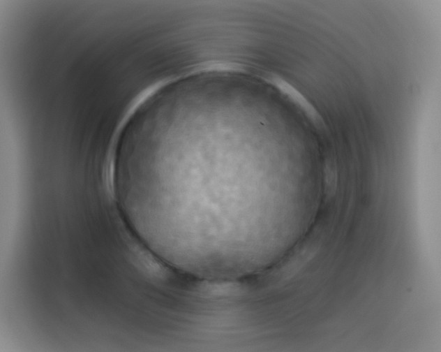 X0000113960886200910021523