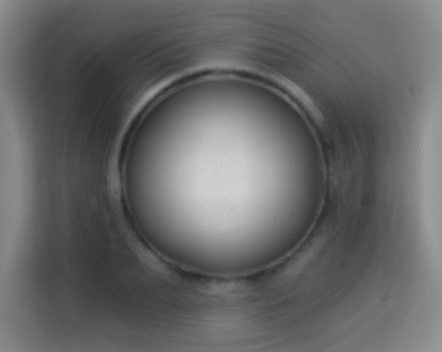 X0000113960887200910021523